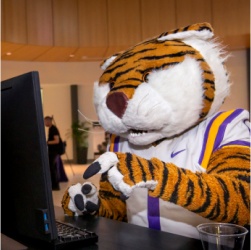 Image showing LSU's Tiger Macot coding.